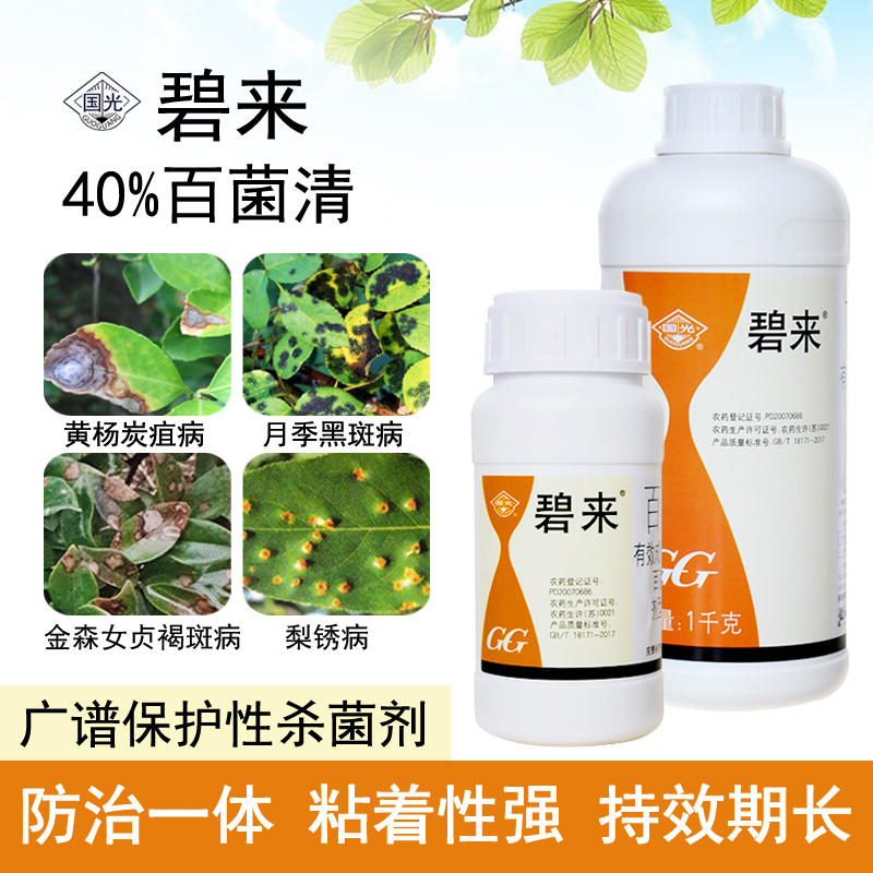 国光百菌清叶斑病白粉病黑斑病炭疽病锈病多肉月季花药多菌灵杀菌