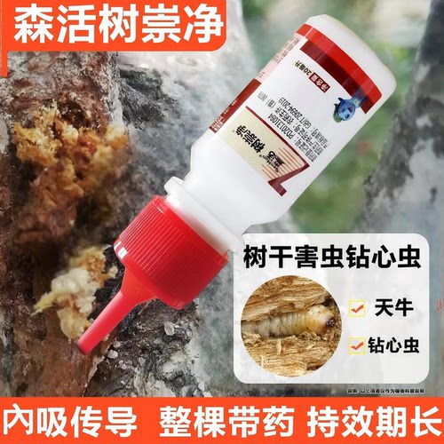 树崇净天牛幼虫树洞虫专用杀虫剂