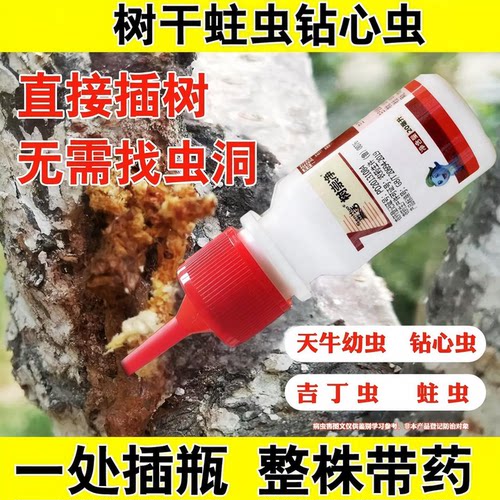 树崇净天牛幼虫树洞钻心虫杀虫剂
