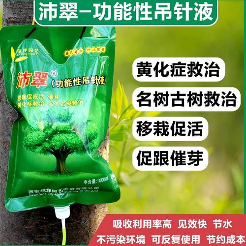 绿坪园艺弱树复壮黄化症救治