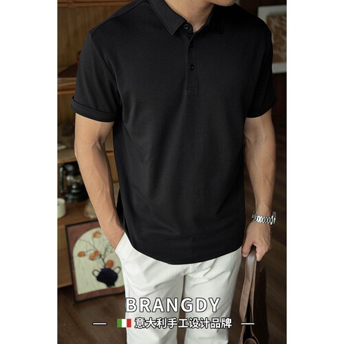 Brangdy意大利休闲双面冰氧棉polo衫匹马棉短袖纯棉翻领通勤男