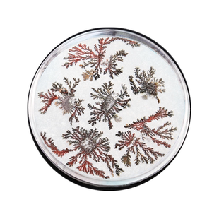 化学实验器材铁树开花小学生科学实验玩具儿童手工DIY科技小制作