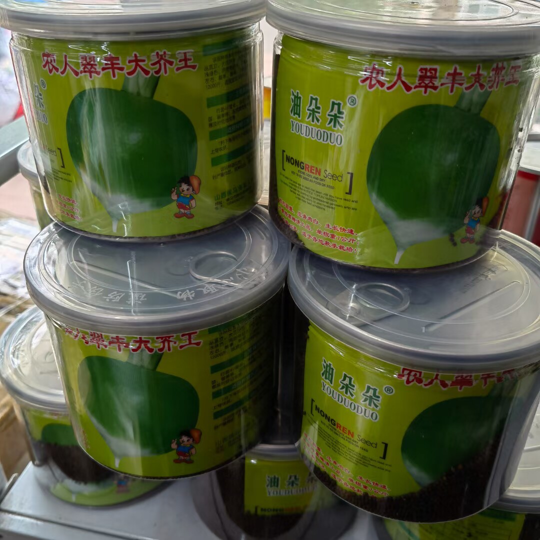 农人翠丰大芥王菜种子特大辣疙瘩种籽芥菜种籽辣菜秋季板叶光芥种