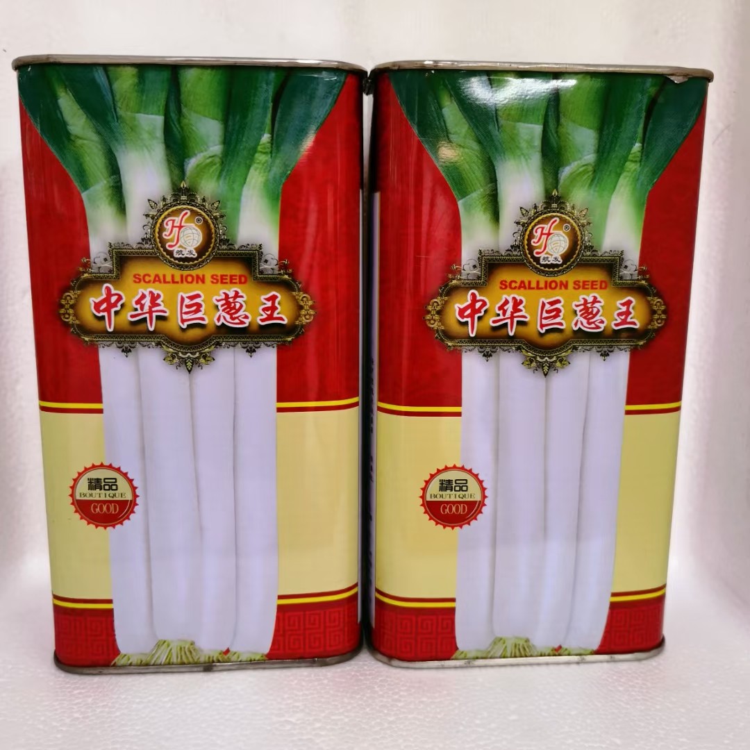 正宗山东章丘大葱种子中华巨葱王四季春秋冬季蔬菜孑菜种籽大全,鲜花速递/花卉仿真/绿植园艺,家庭园艺种子,淘宝优惠券,粉丝福利购,淘宝优惠卷