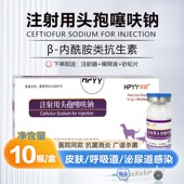 宠物用注射用头孢噻呋钠狗狗猫咪消炎抗菌针感冒肺炎咳嗽拉稀犬瘟