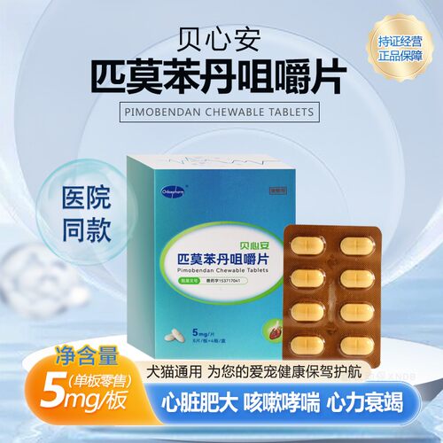 贝心安匹莫苯丹心脏肥大狗狗心脏