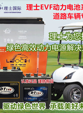 理士蓄电池6-EVF-100/12V100AH85A动力DT106/6V225叉车扫地机电瓶