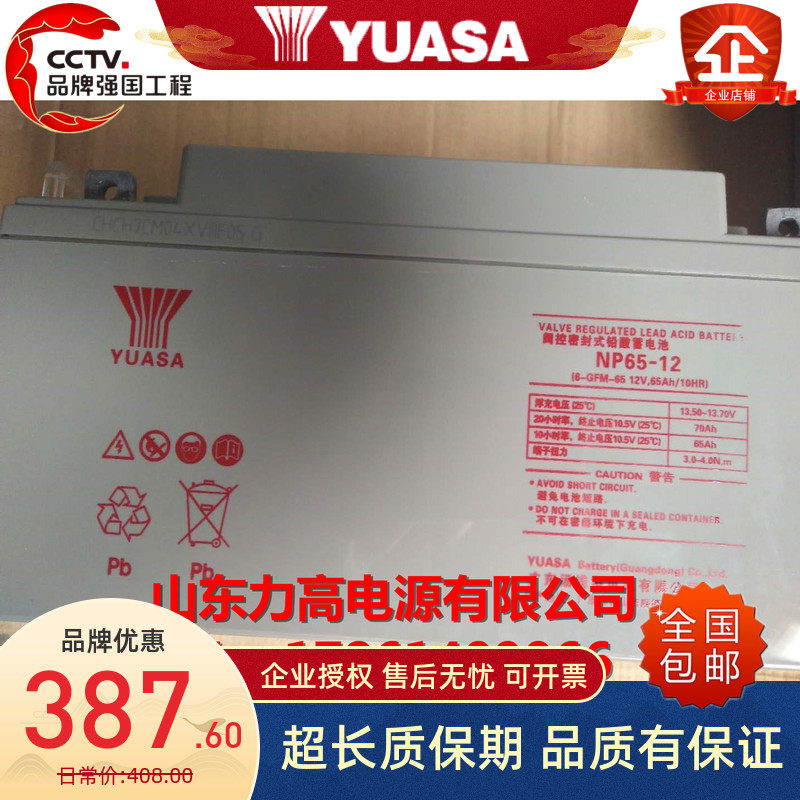 YUASA汤浅蓄电池 NP65-12/12V65AH机房UPS设备EPS 12伏65安时电瓶
