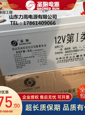 圣阳蓄电池6GFM-65发电直流系统I类 12V65AH电力工程通信基站电池