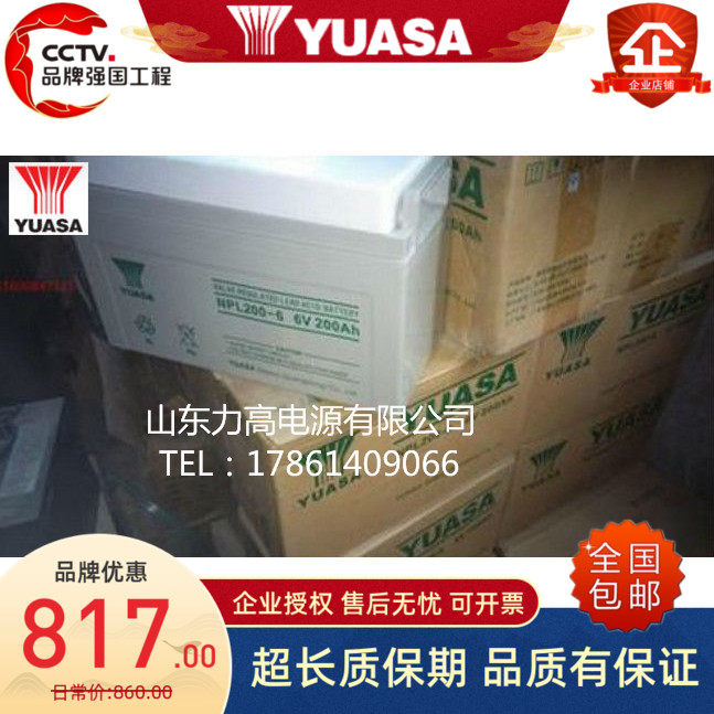 YUASA汤浅蓄电池NPL200-6助力车长寿命电池6V200AH电动车铅酸电池