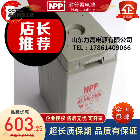 NPP耐普蓄电池 NP2-500Ah/2V500AH免维护电源 船舶铁路通信蓄电池