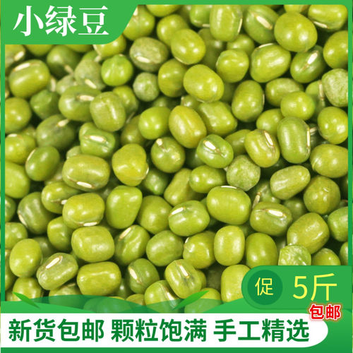 东北新绿豆农家自产薄皮小绿豆