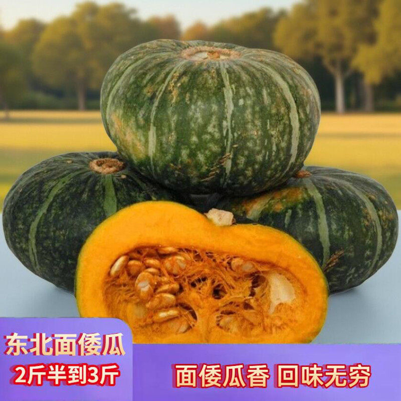 今年东北谢花面窝瓜农家种植新鲜面倭瓜