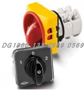 BREMAS凸轮开关 CA0200003PL2 CA系列