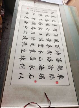 观沧海卷轴装裱手写书法作品真迹字画客厅挂画办公室装饰画定制