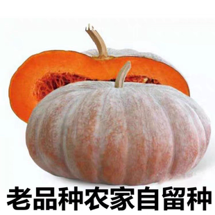 老品种南瓜种磨盘大南瓜种子高产农家老品种南瓜种子农家自留种子