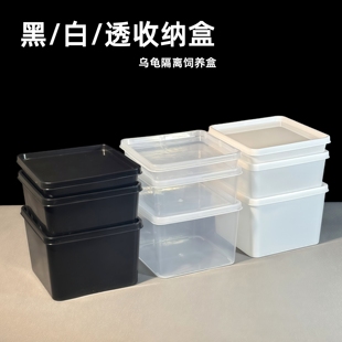 正方塑料储物盒无盖透明白色黑色收纳盒展示盒带盖龟苗隔离孵化盒