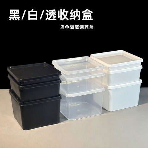 正方塑料储物盒无盖透明白色黑色收纳盒展示盒带盖龟苗隔离孵化盒