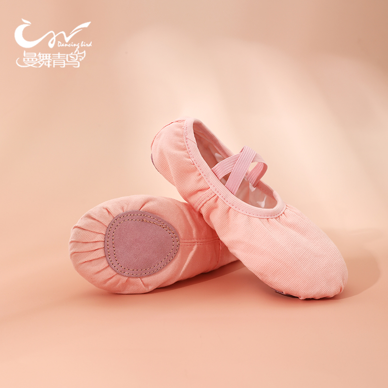 夏季芭蕾舞鞋女室内弹力真皮软底成人艺考男专用免系带猫爪舞蹈鞋