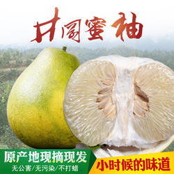 正宗井冈蜜柚江西原产地现摘金沙柚子白心金兰柚汁多甜新鲜水果