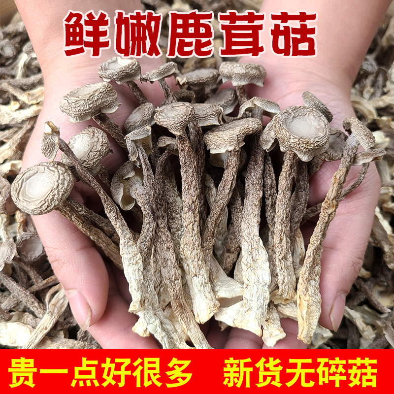 鹿茸菇食用菌脆脆菇干货特产煲汤