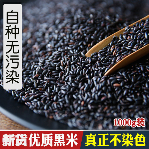 江西农家黑米2斤装正宗不染色