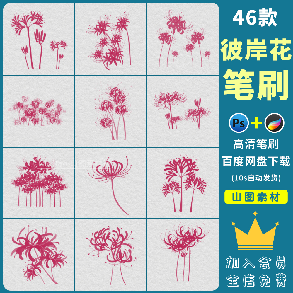 procreate笔刷手绘ps彼岸花笔刷曼珠沙华花朵花卉花丛花簇鲜花