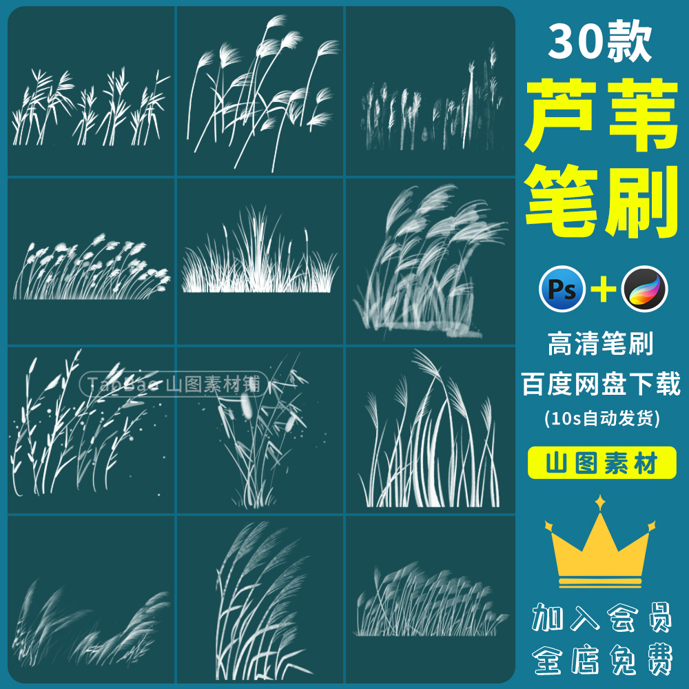 procreate/ps笔刷深秋冬摇曳芦苇丛芦浦野草丛类植物风景插画笔刷