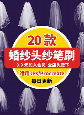 procreate/ps笔刷绘画素材白色婚礼头纱婚纱薄纱裙png免抠图片