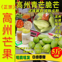 高州酸桃生芒果5斤青芒果送辣椒粉新鲜广东年例特产可做芒狗包邮