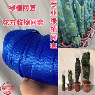 保护树快递打包网盆栽收缩网绿植包装袋网兜加仑盆网袋花网套网袋