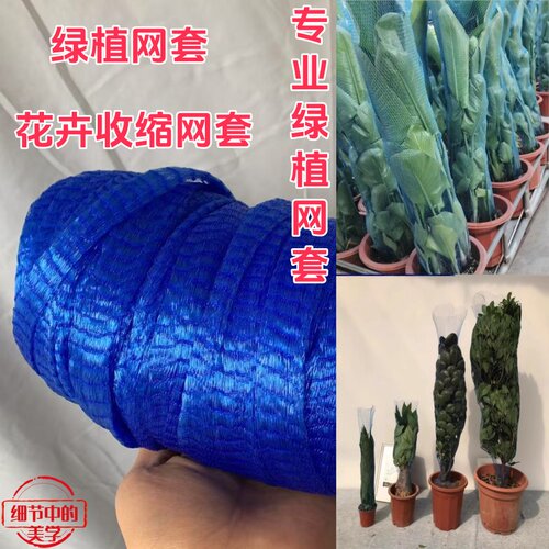 保护树快递打包网盆栽收缩网