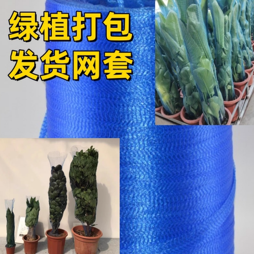蓝色收缩网套绿植花卉其它园艺