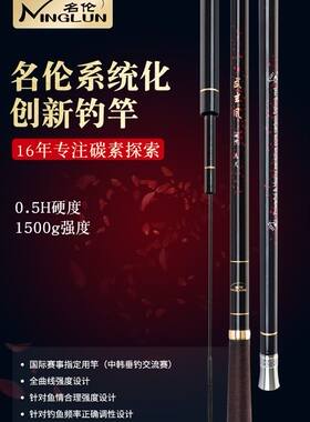 名伦威海玄风一代老款混养台钓竿