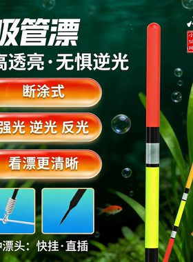 小仙郎快挂直插式吸管漂高灵敏加粗醒目草洞浅水轻口鲫鱼浮漂浮标