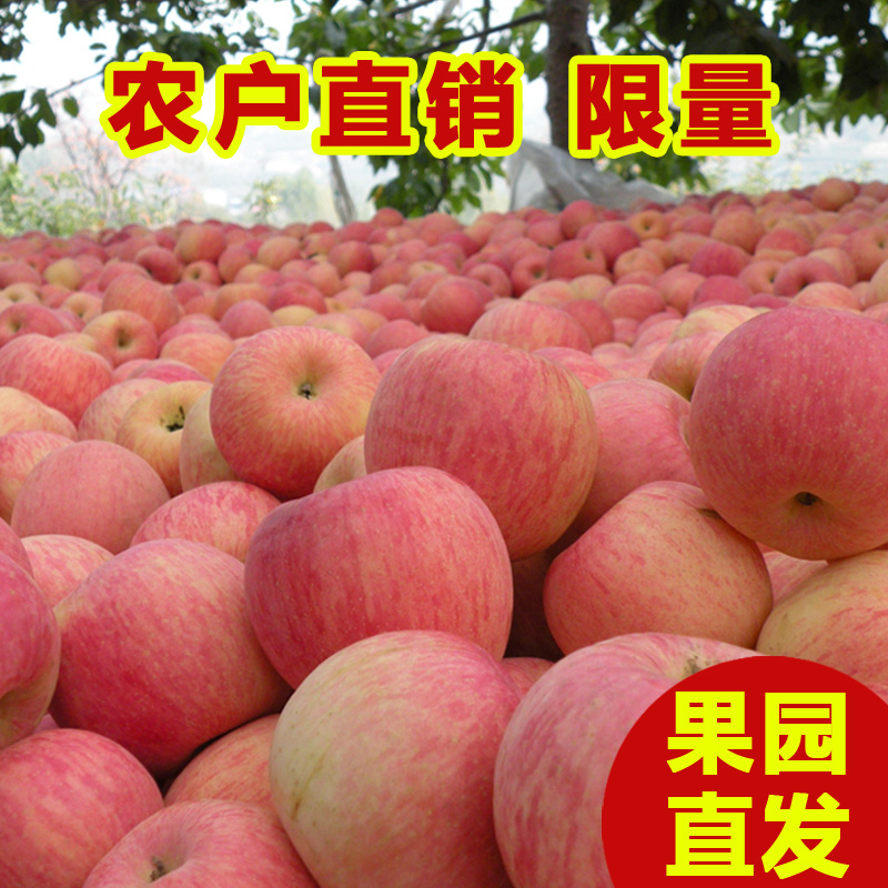 【每日好货】现摘苹果水果整箱10斤当季陕西红富士大萍果平果批发