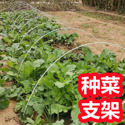 新型小拱棚支架种菜专用棚架