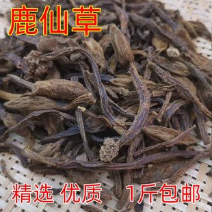 免邮 山菠萝 通天蜡烛 新货云南野生 费 不上莲 500g 石上莲 鹿仙草