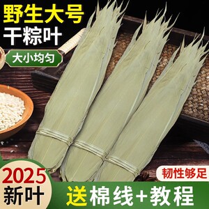 粽子叶新鲜大号干粽叶新叶包粽子叶子野生天然竹叶材料粽绳粽叶