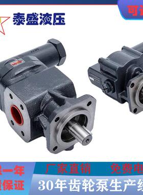 克拉克KRACHT齿轮泵KF25 40 50 80 RF2-D15 D-58791,KF6 RF 2 G15