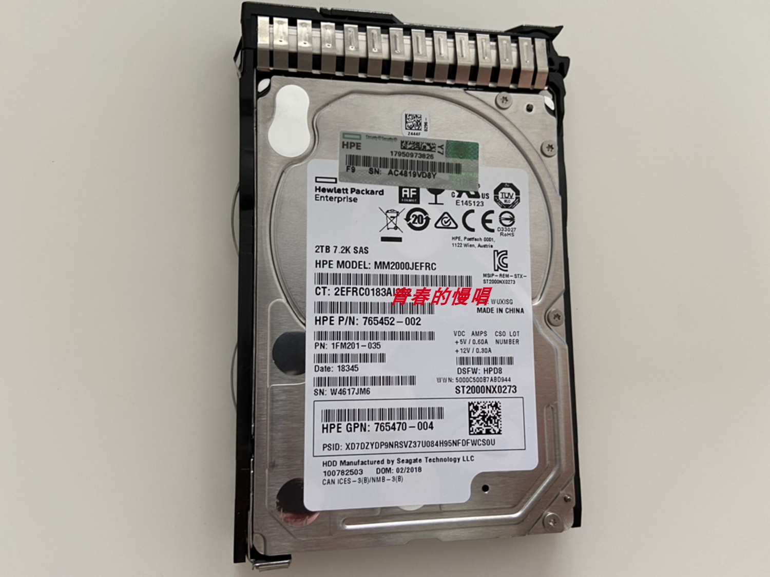 H 765873 2T 2TB DS SAS DL380 DL580 DL388 Gen9 Gen10 G10硬盘-封面