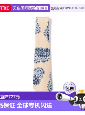 1h可退 日本直邮FRANCO BASSI 男士真丝佩斯利印花领带 215536003