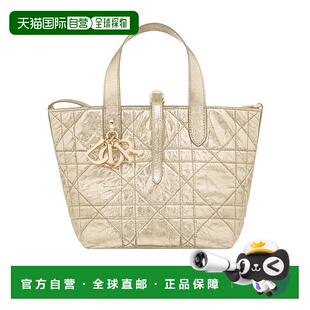 1h可退 香港直邮Dior 小号 Dior Toujours 垂直托特包 M2835OPWD