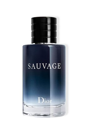 CHRISTIAN DIOR迪奥旷野男士经典淡香水 60ml