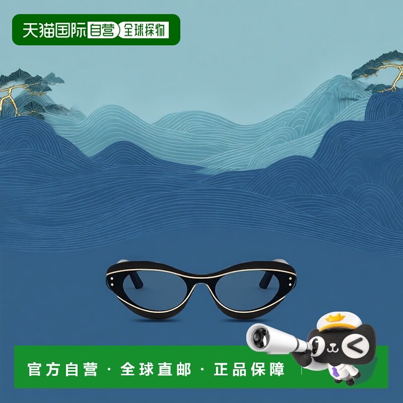 香港直邮Dior 徽标太阳镜 DIORMETEORB1I新款迪奥