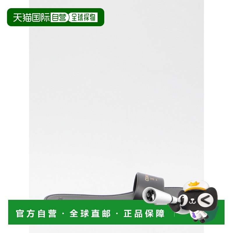 欧洲直邮celine 女士 拖鞋,女鞋,其他拖鞋,淘宝优惠券,粉丝福利购,淘宝优惠卷