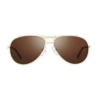 自营 Revo PROSPER RE 1139 04 BR 飞行员太阳镜 - 多色 美国奥莱