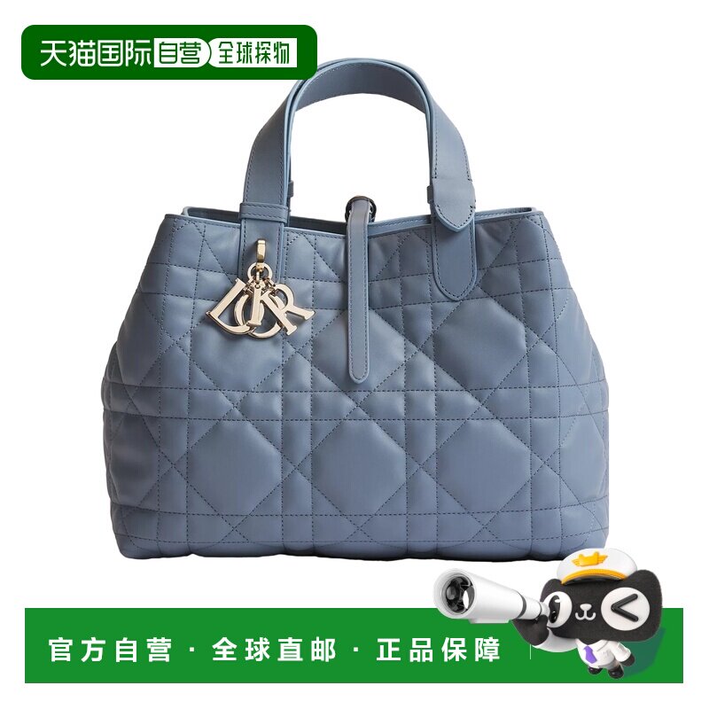 Dior 中号 Dior Toujours 手提包 M2821OSNW