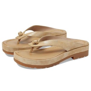 DONALD 西娜 PLINER唐纳德·普林纳