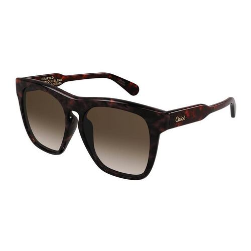 Chloe 蔻依 女士 -sunglasses 太阳镜 CH0149SA002
